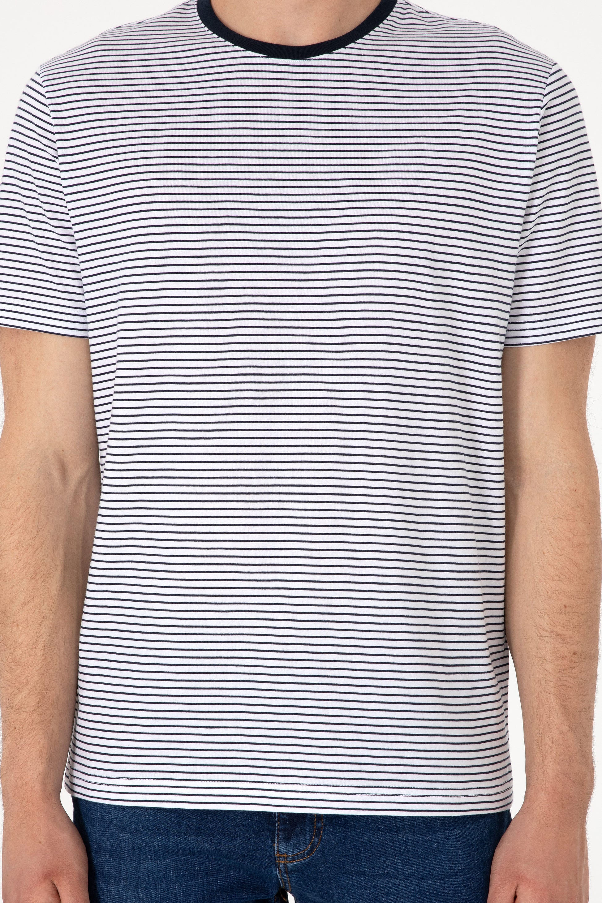 Men's Regular Fit Crew Neck Navy Striped T-Shirt