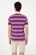 Men's Regular Fit Polo Neck Purple Striped T-Shirt