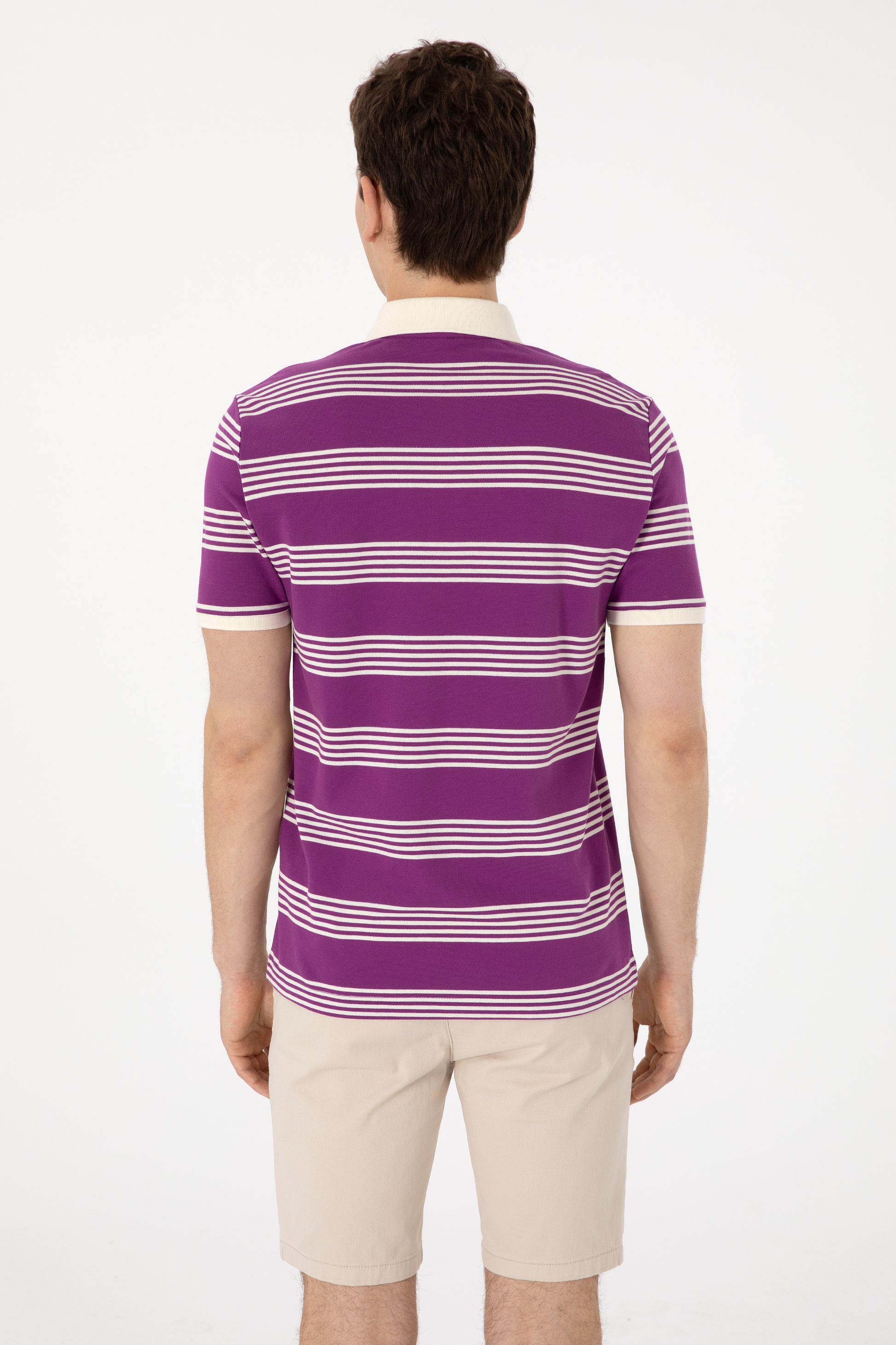 Men's Regular Fit Polo Neck Purple Striped T-Shirt