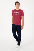 Men's Regular Fit Crew Neck Cherry T-Shirt