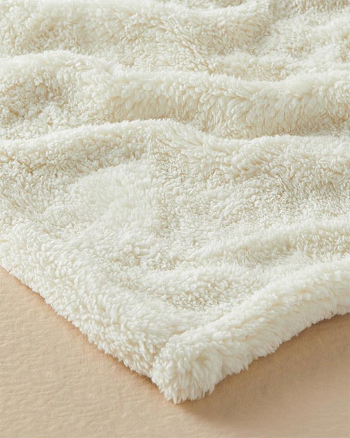 Cozy Wellsoft Tv Blanket Cream