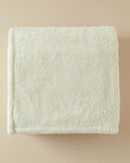 Cozy Wellsoft Tv Blanket Cream