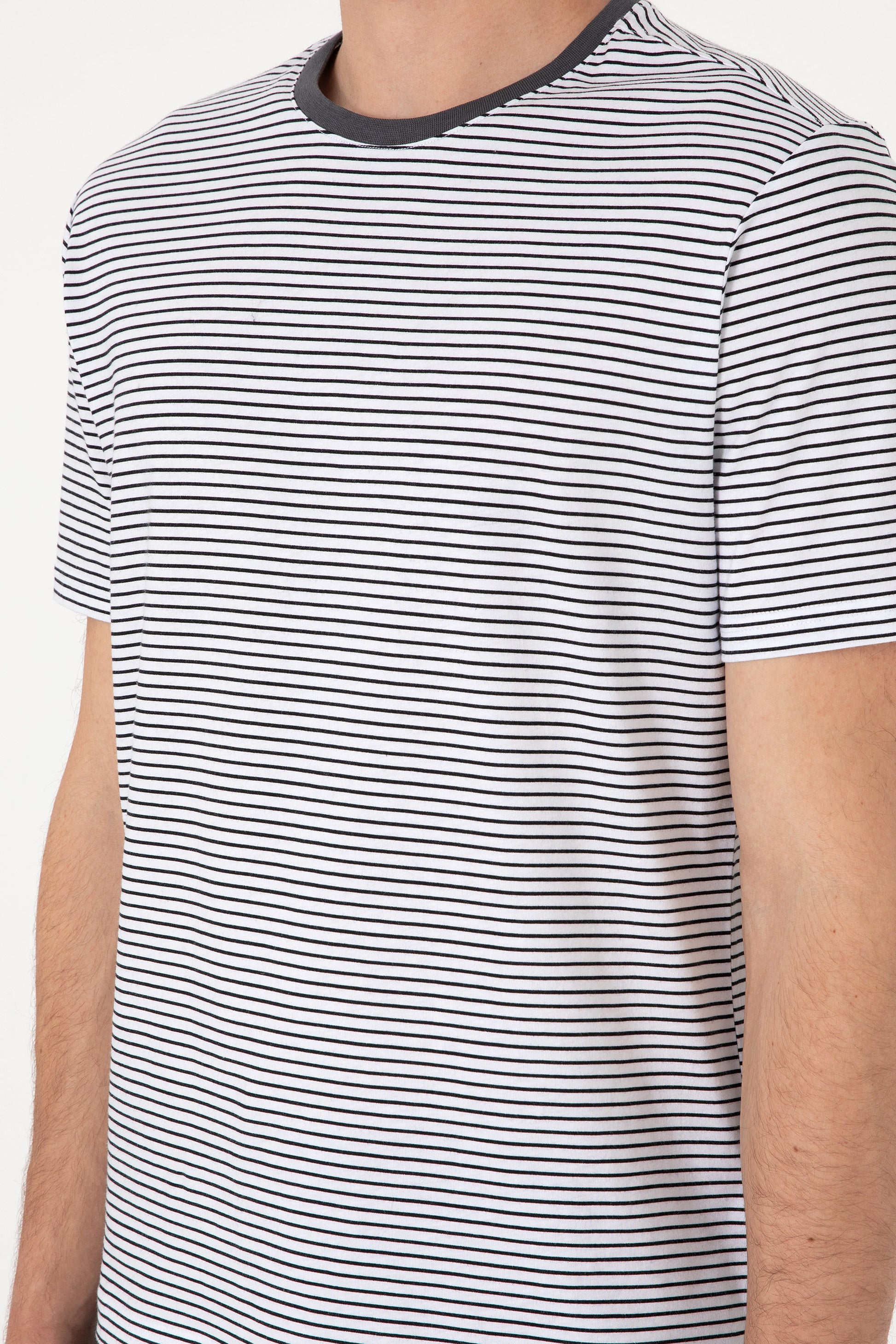 Men's Regular Fit Crew Neck Black Striped T-Shirt
