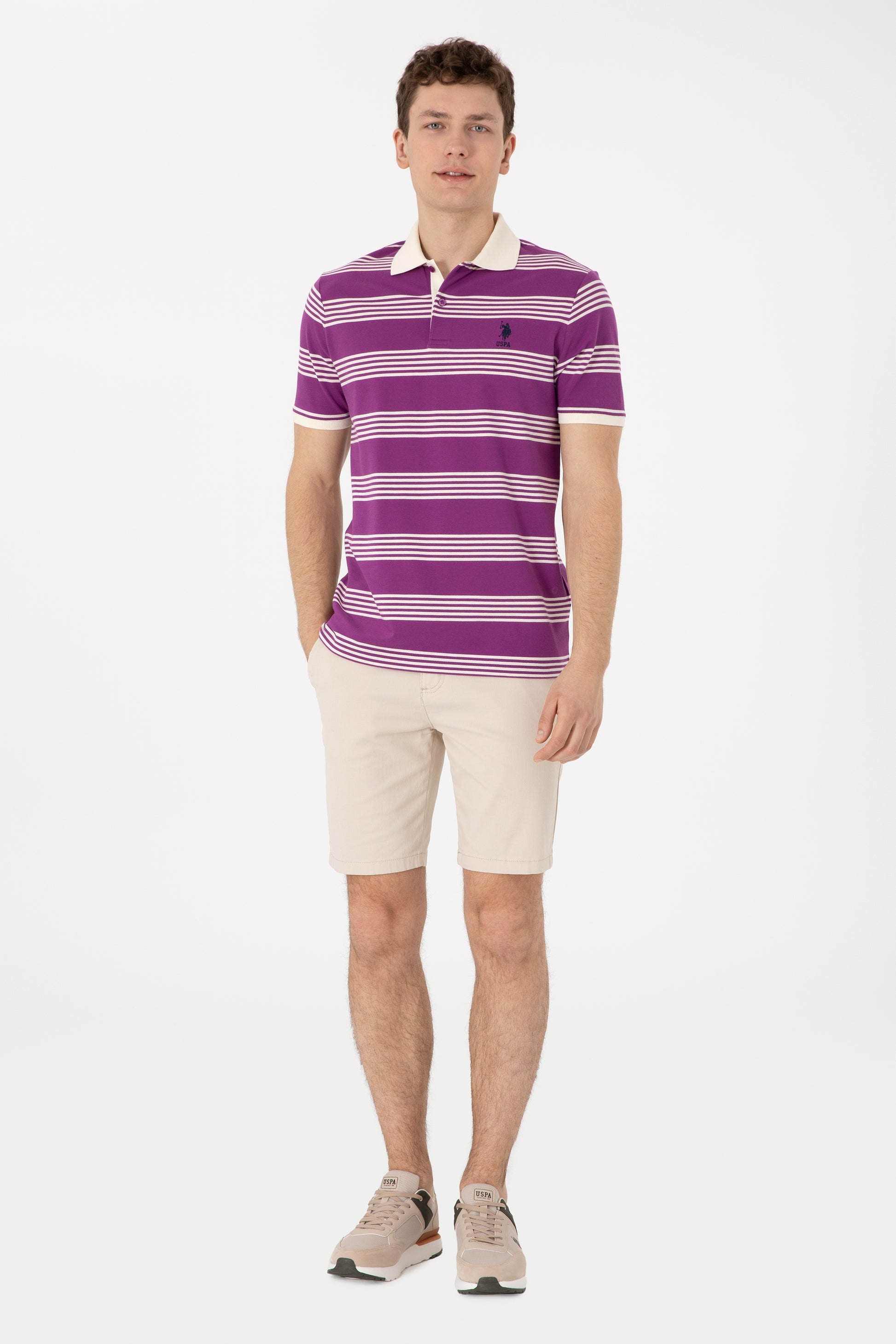 Men's Regular Fit Polo Neck Purple Striped T-Shirt