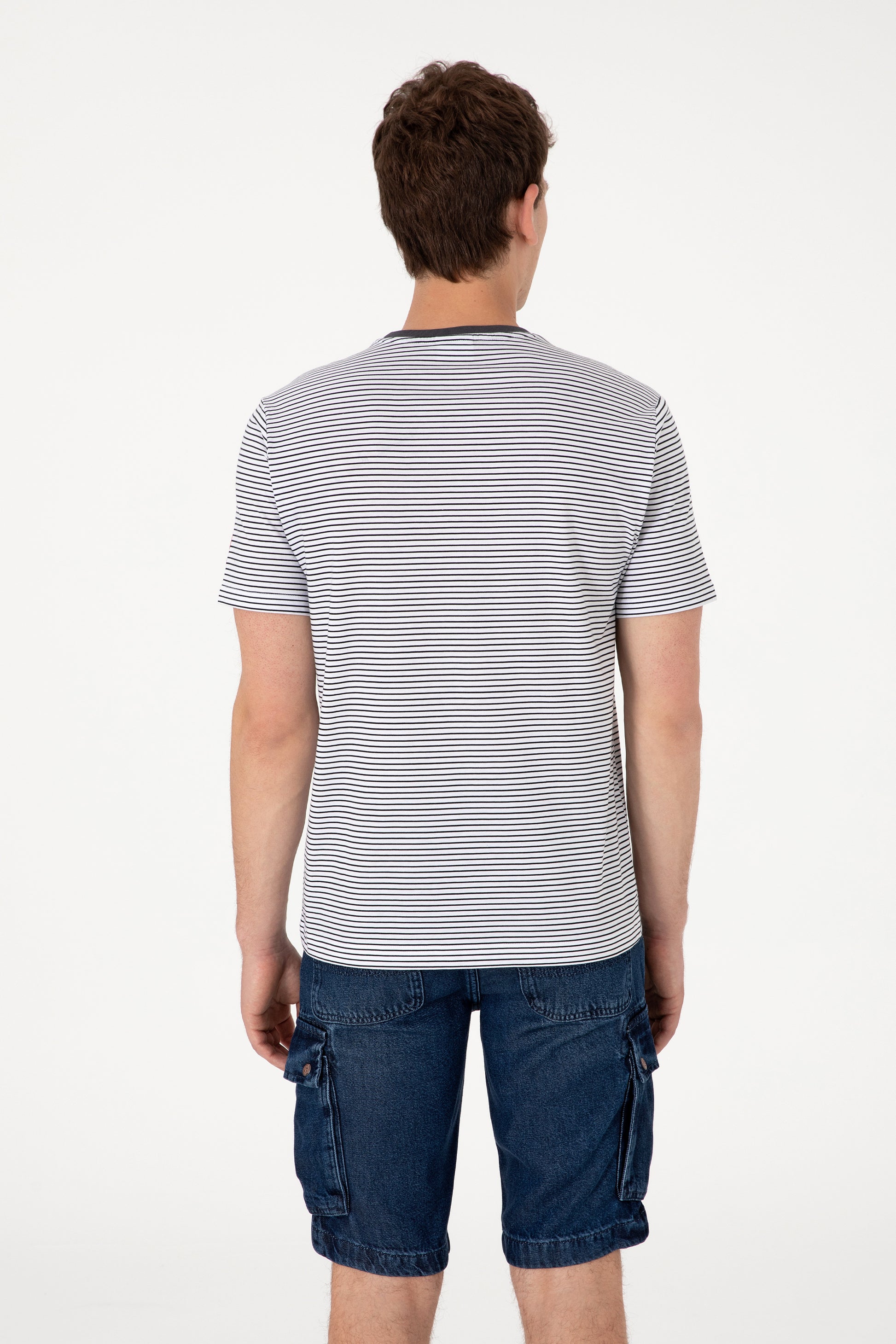 Men's Regular Fit Crew Neck Black Striped T-Shirt
