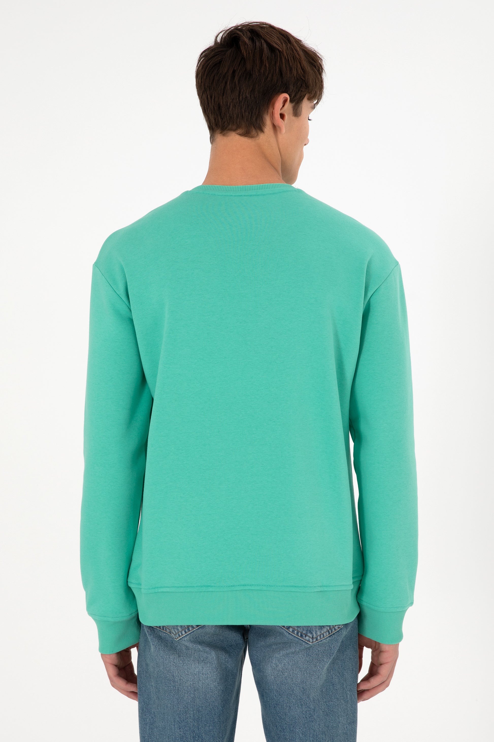 Men's Mint Basic Sweatshirt