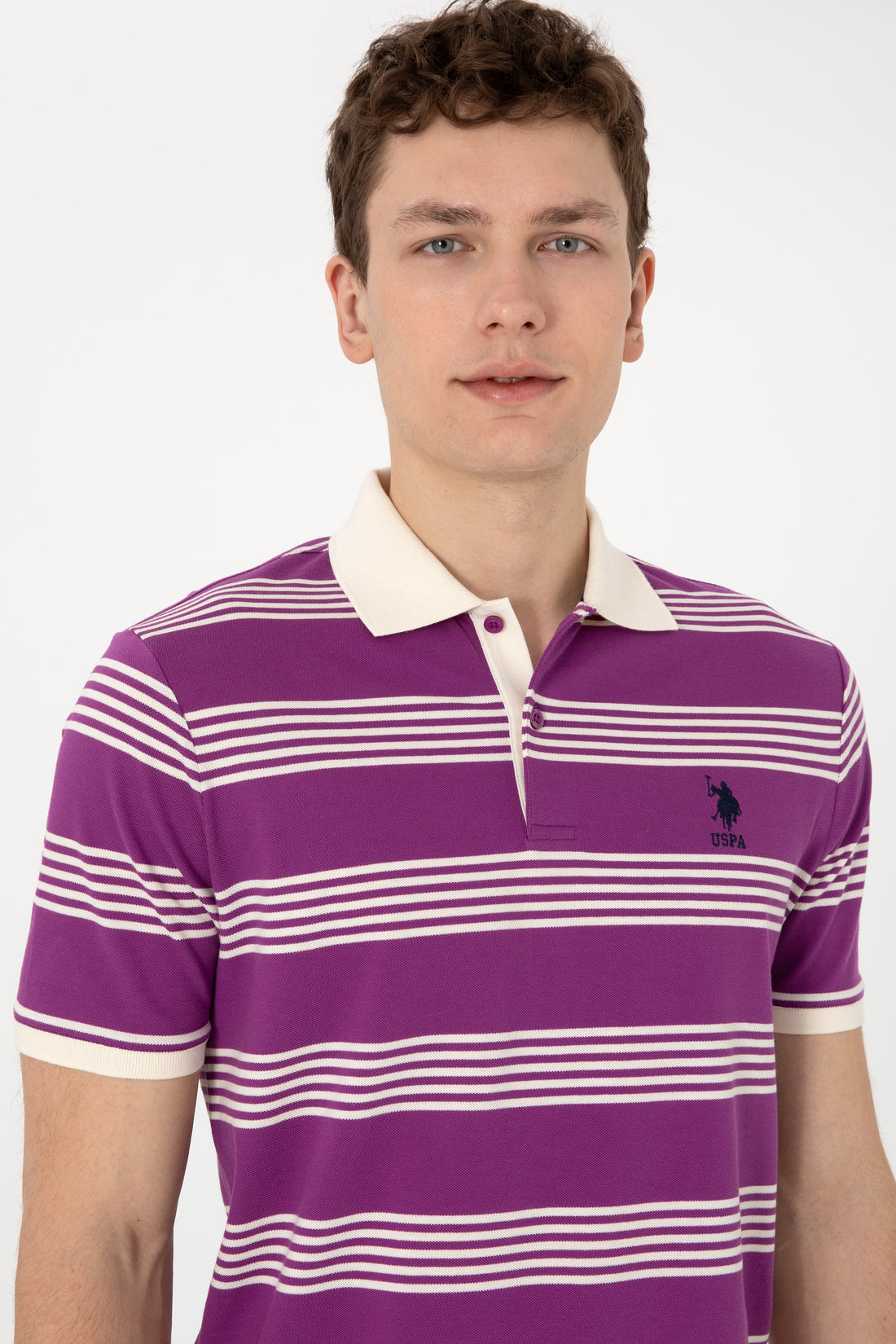 Men's Regular Fit Polo Neck Purple Striped T-Shirt