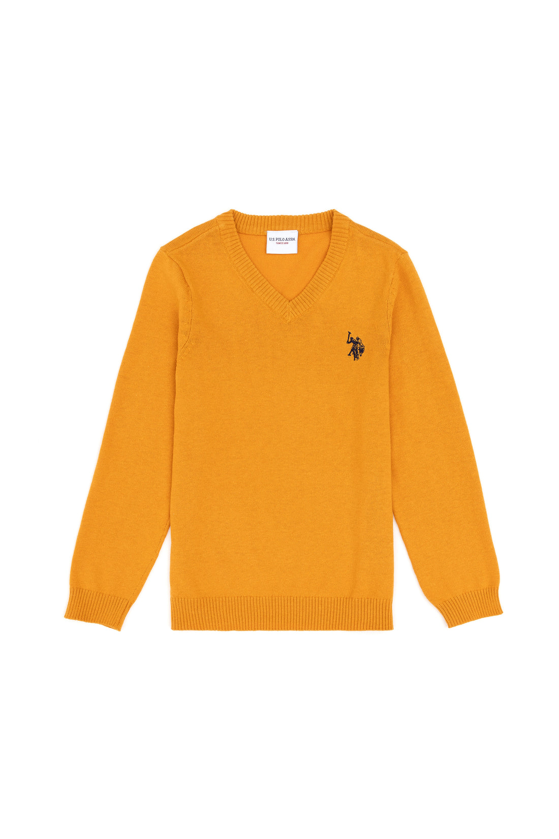 Boys' Mustard Basic V Neck Sweater
