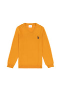 Boys' Mustard Basic V Neck Sweater