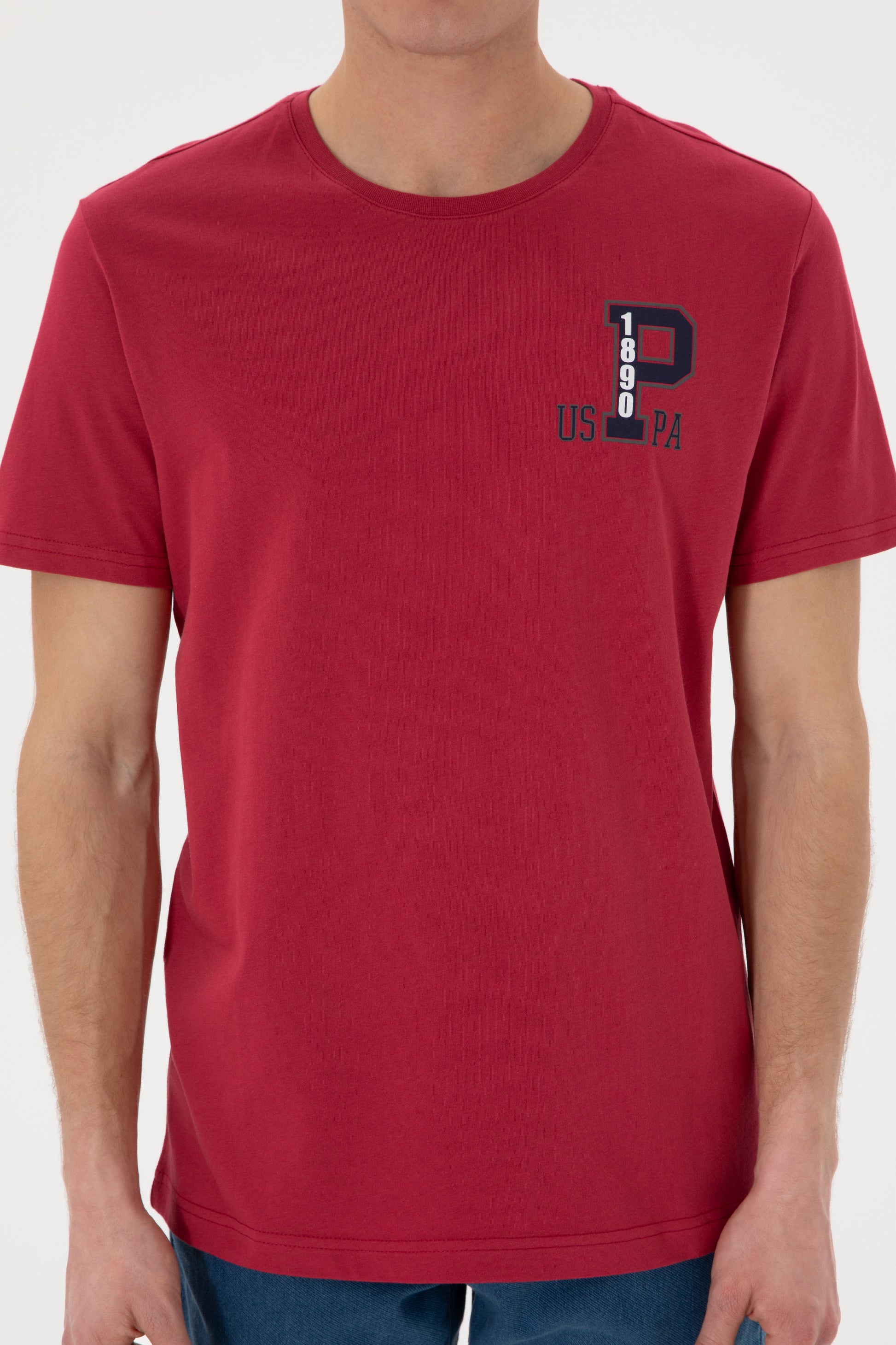 Men's Regular Fit Crew Neck Cherry T-Shirt