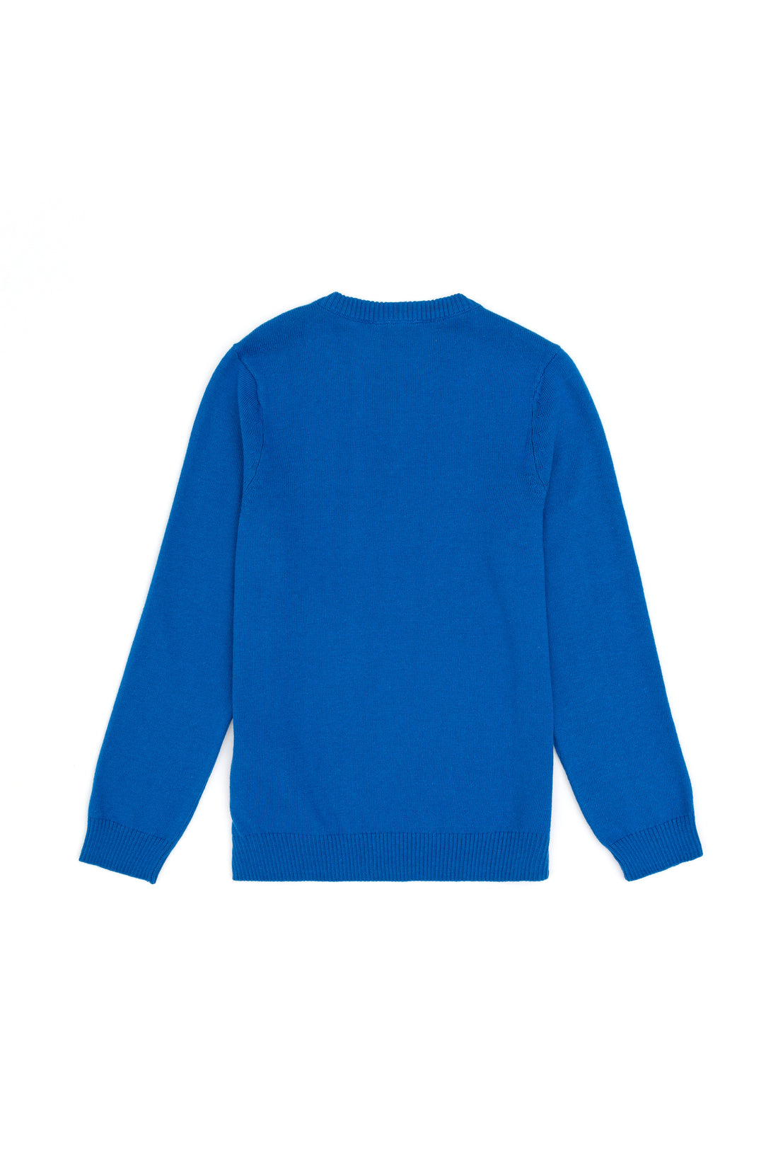 Boys' Cobalt Basic V Neck Sweater