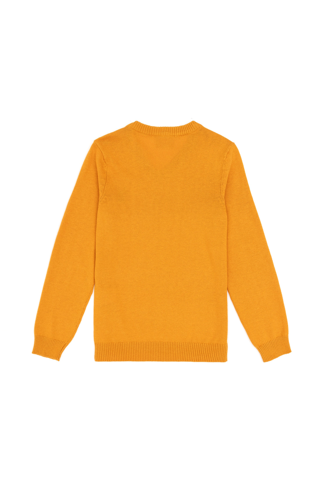 Boys' Mustard Basic V Neck Sweater