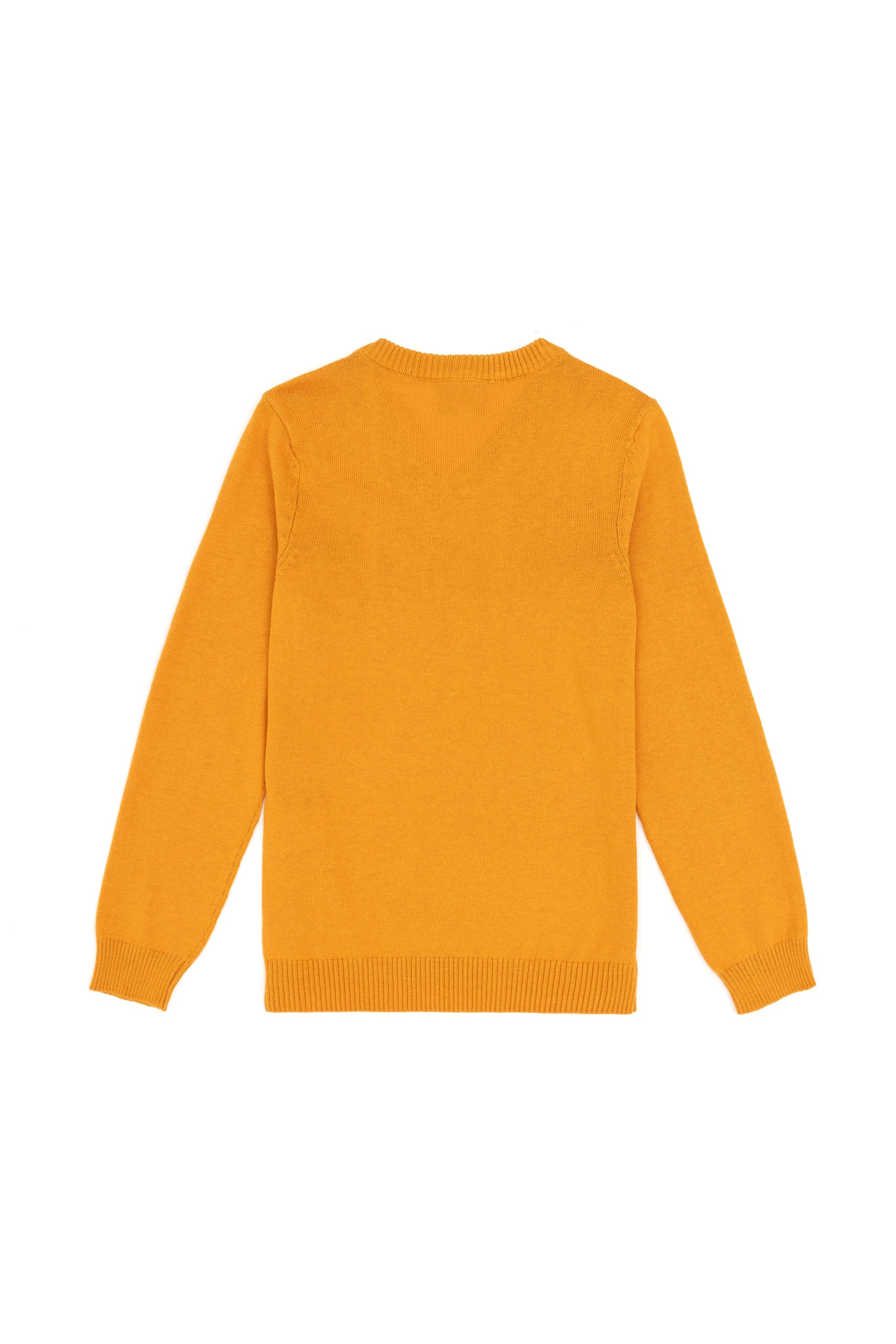 Boys' Mustard Basic V Neck Sweater