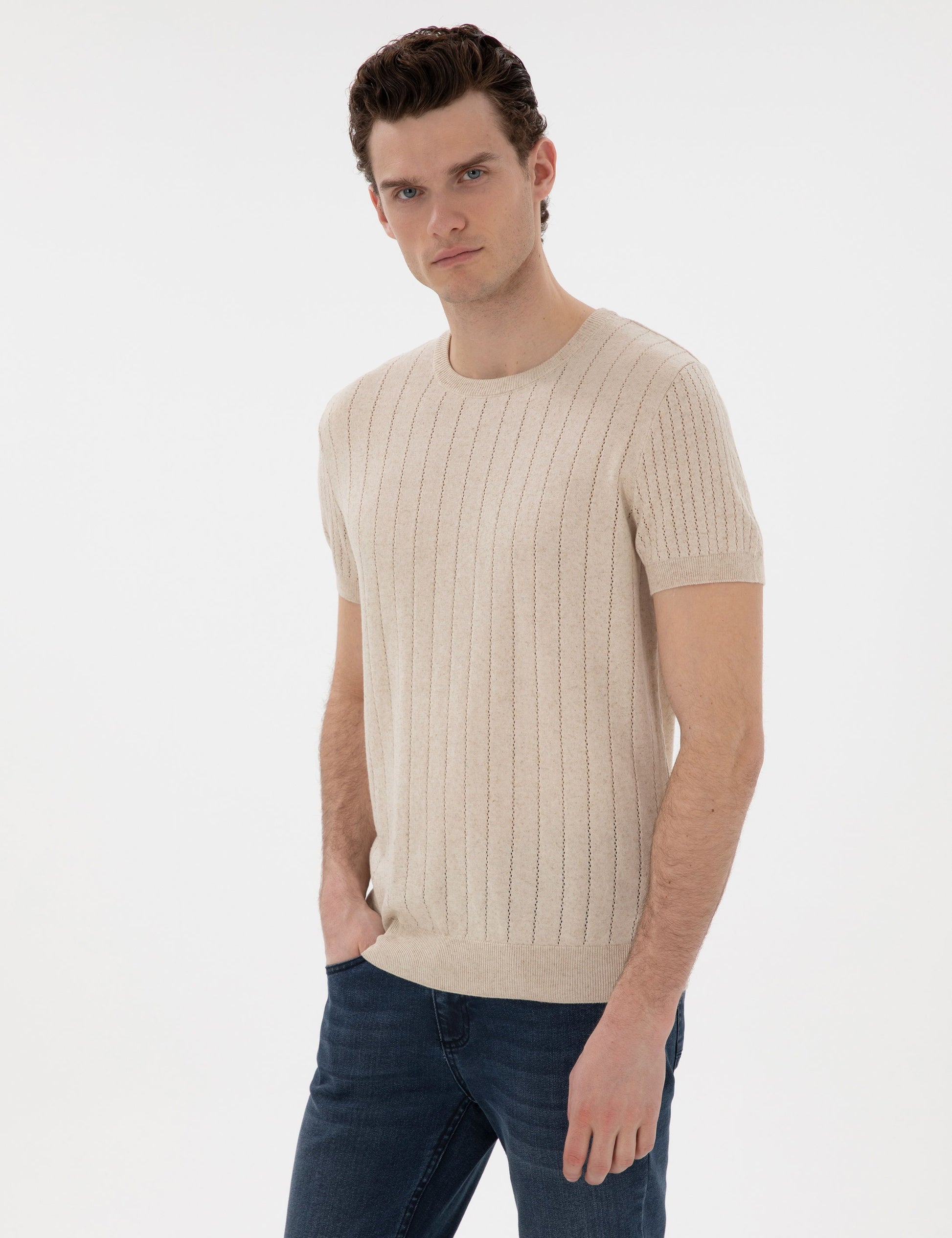 Beige Linen Blended Regular Fit Crew Neck Sweater T-Shirt
