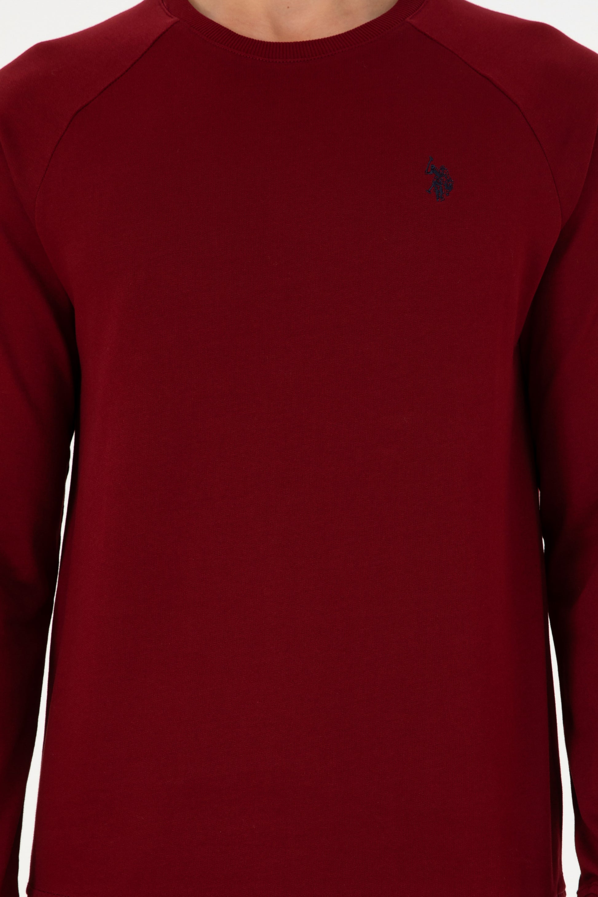 Men's Regular Fit Crew Neck Burgundy Basic Sweatshirt