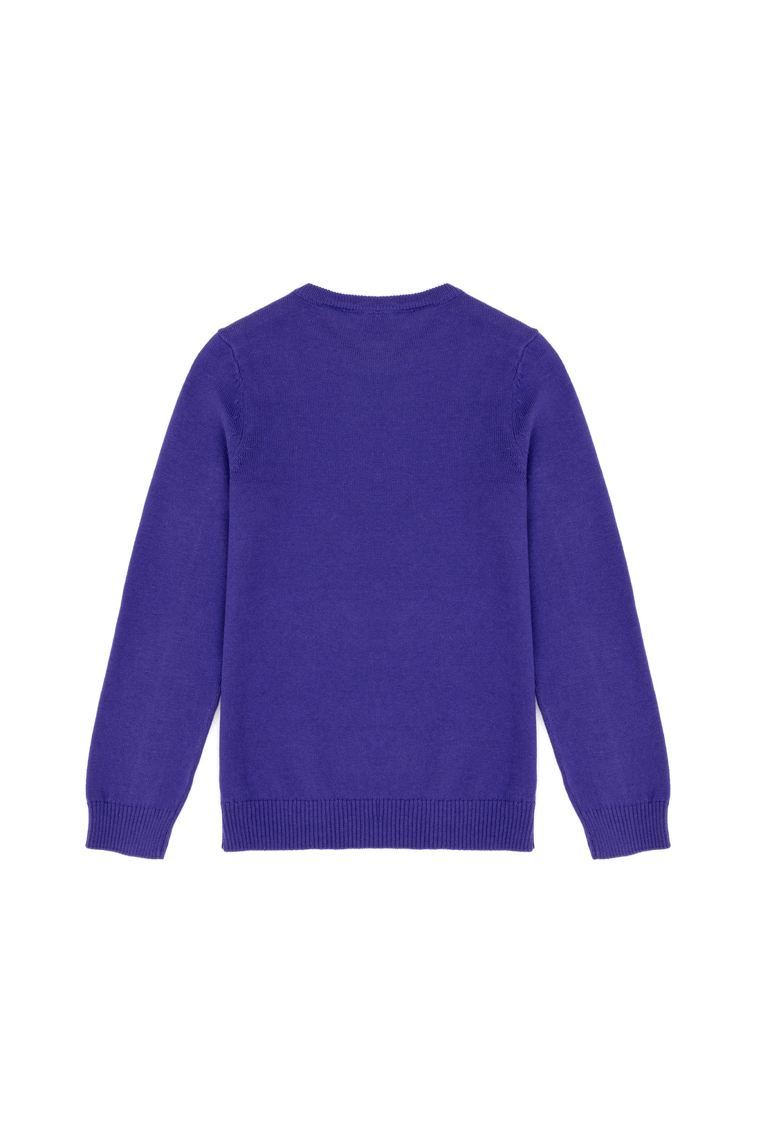 Girl's Purple Basic Sweater