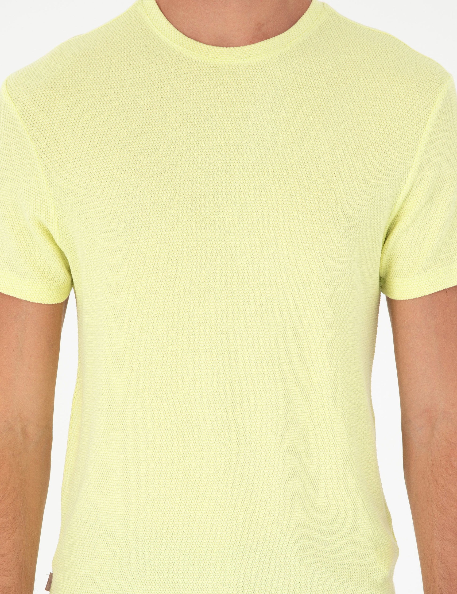 Lemon Slim Fit Basic T-Shirt
