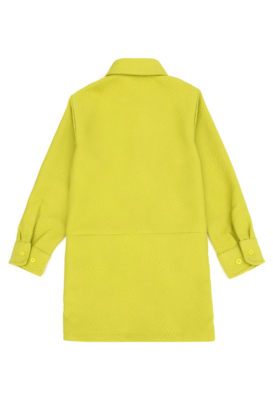 Girl's Peanut Green Woven Dress