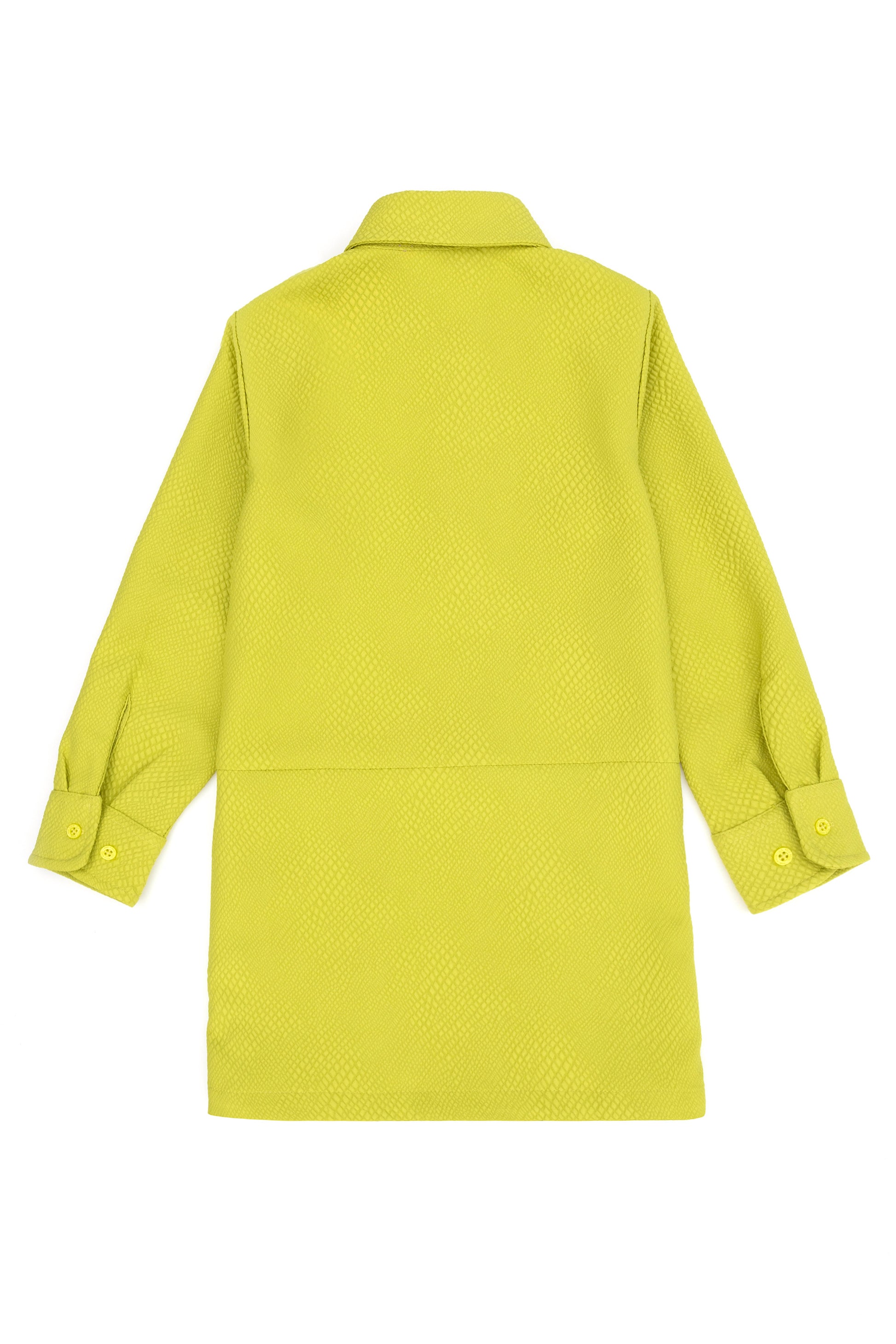 Girl's Peanut Green Woven Dress