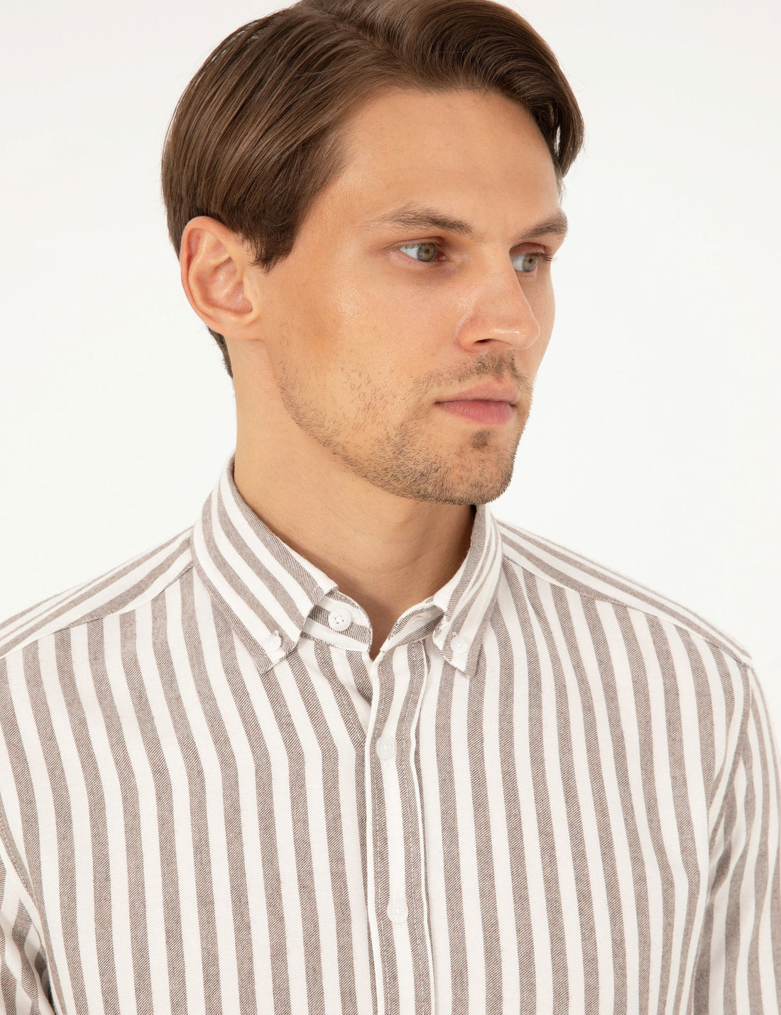 Brown Regular Fit Striped Long Sleeve Shirt