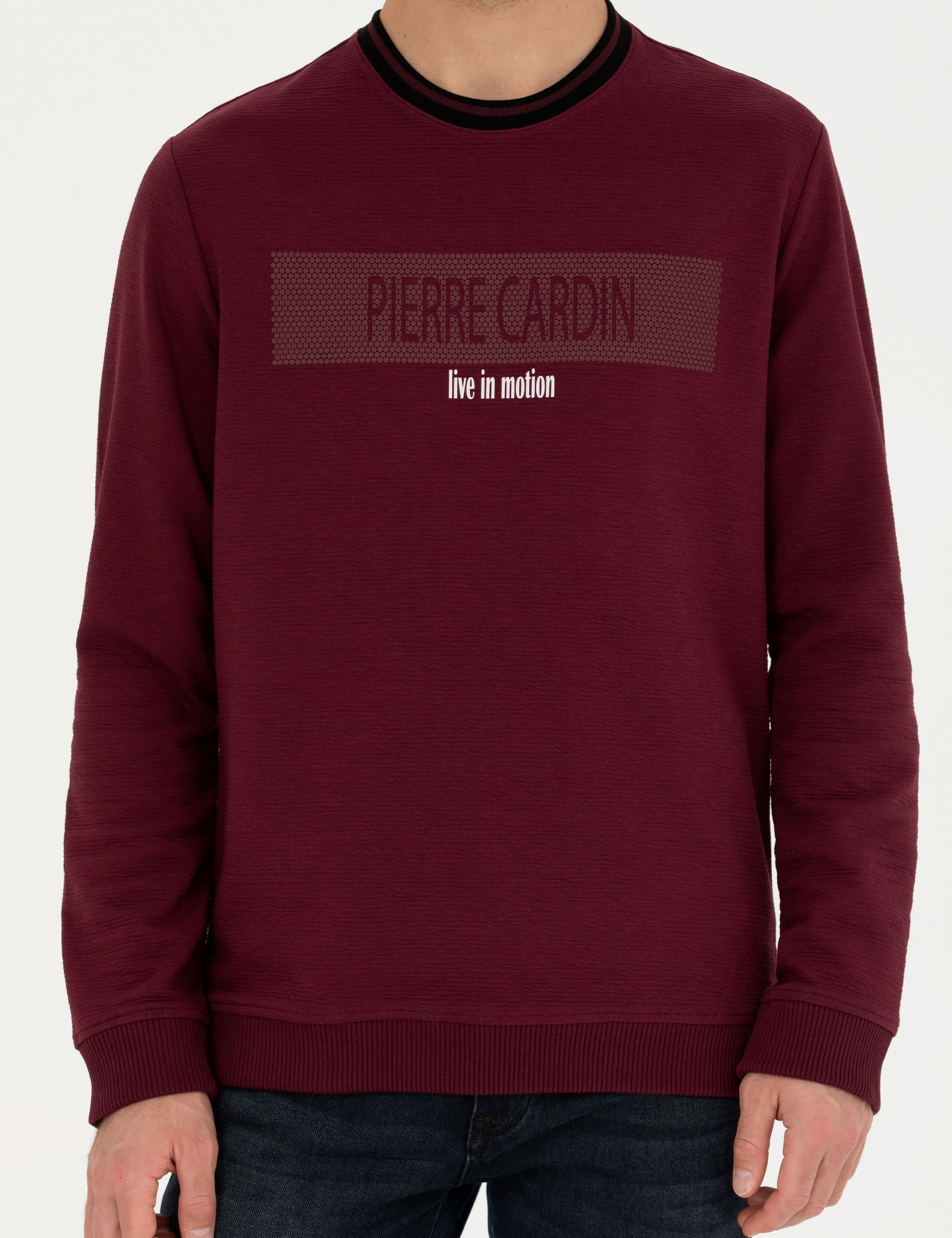 Burgundy Regular Fit Crew Neck Sweatshirt