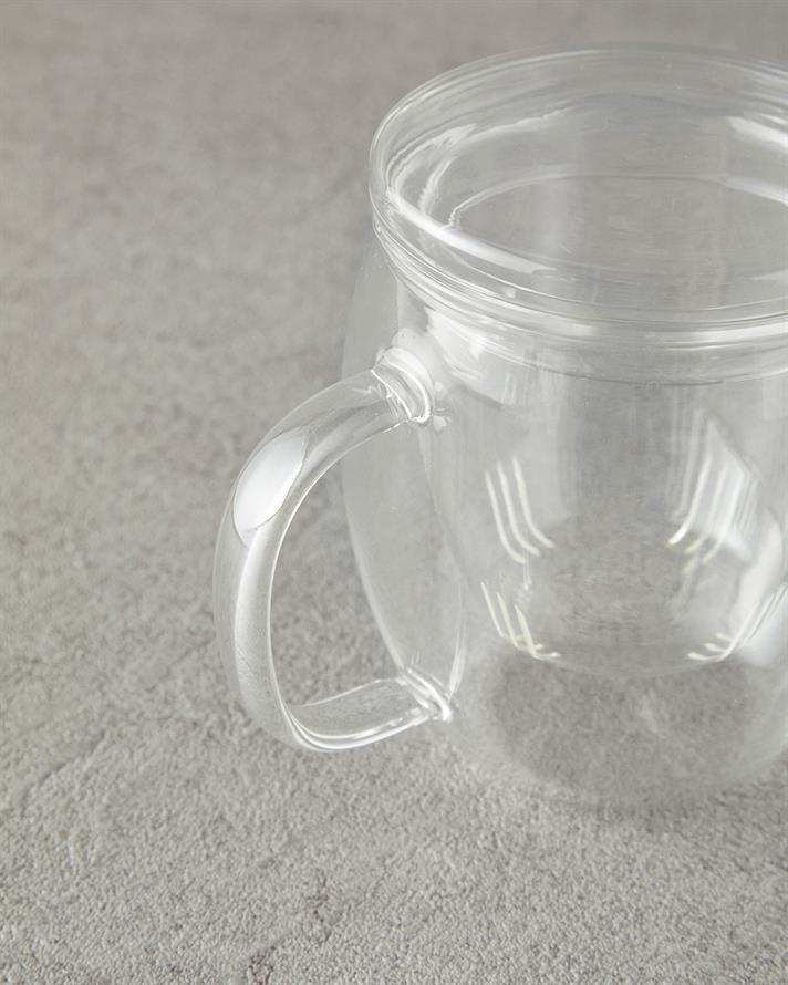 Misty Borosilkat Glass Double Walled Mug Transparent