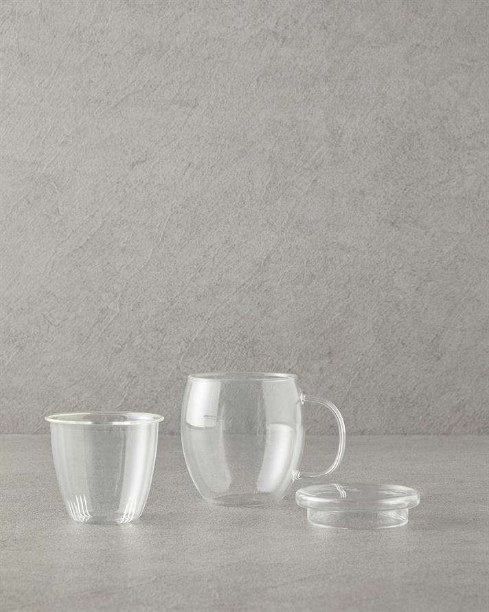 Misty Borosilkat Glass Double Walled Mug Transparent