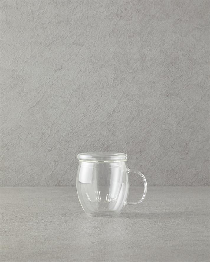 Misty Borosilkat Glass Double Walled Mug Transparent